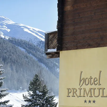 Hotel Primula 3*