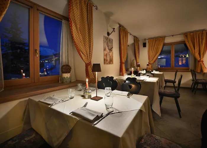 Primula Otel